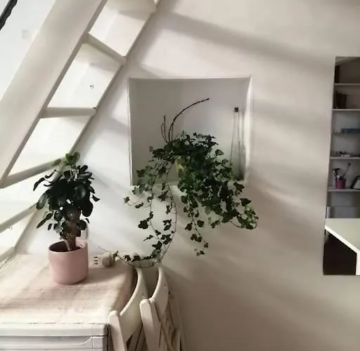 Apartamento Appartamentino Incantevole A *